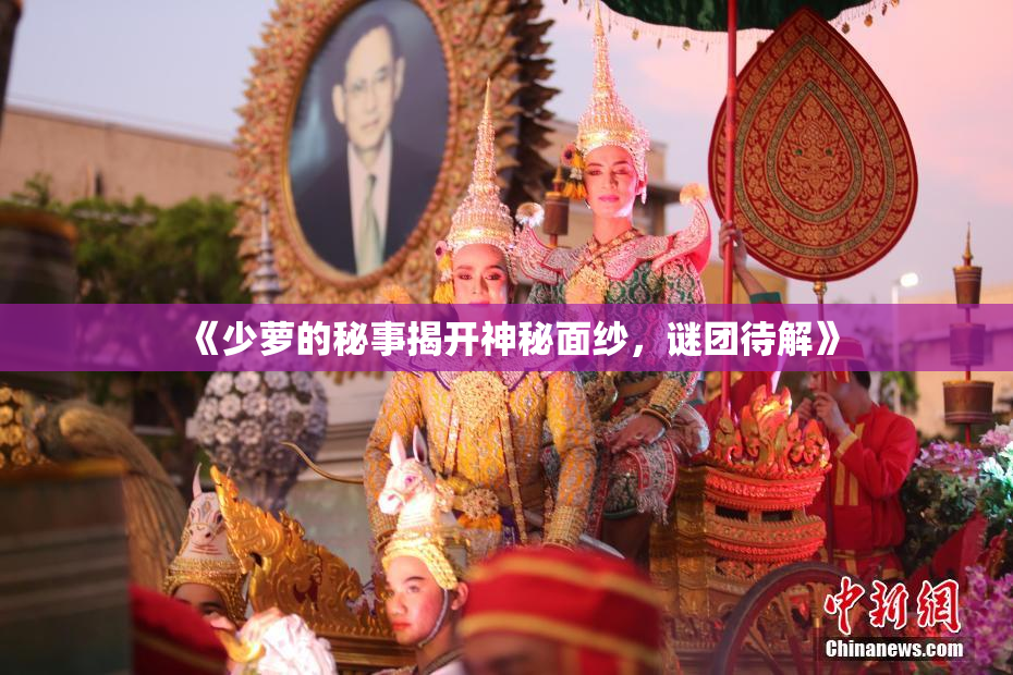 《少萝的秘事揭开神秘面纱，谜团待解》