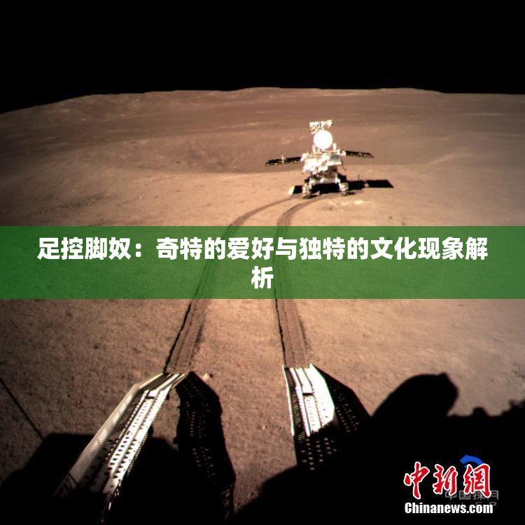 足控脚奴：奇特的爱好与独特的文化现象解析