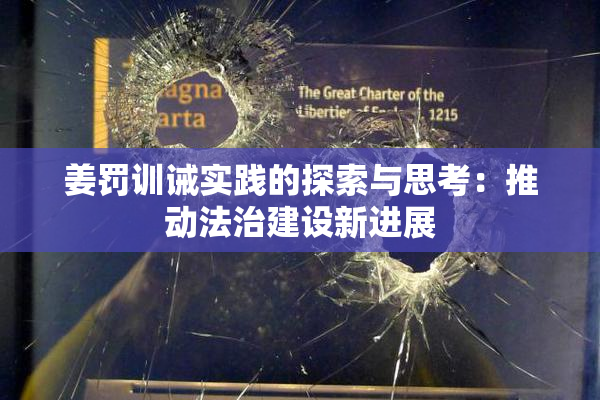 姜罚训诫实践的探索与思考：推动法治建设新进展