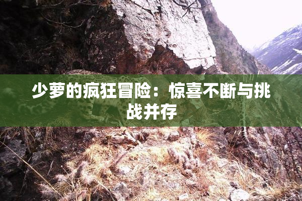 少萝的疯狂冒险：惊喜不断与挑战并存