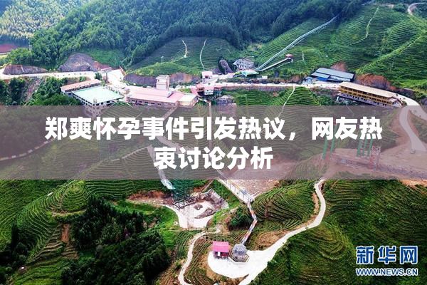郑爽怀孕事件引发热议，网友热衷讨论分析