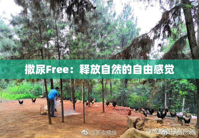 撒尿Free：释放自然的自由感觉