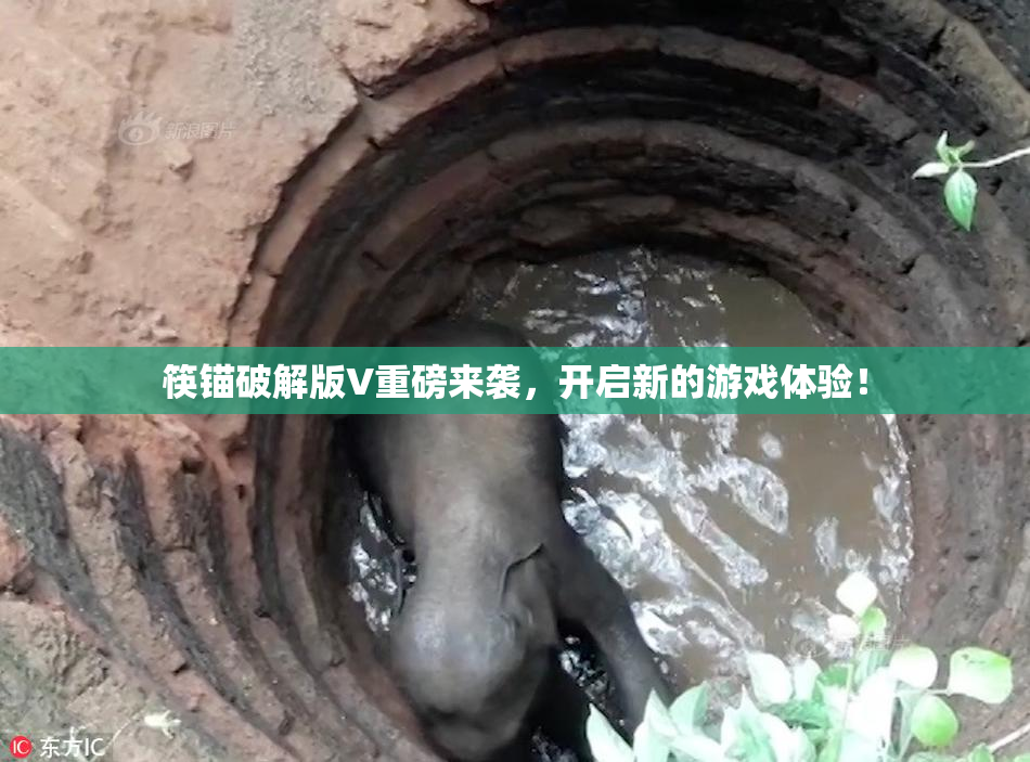 筷锚破解版V重磅来袭，开启新的游戏体验！