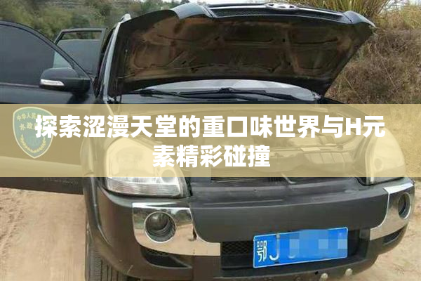 探索涩漫天堂的重口味世界与H元素精彩碰撞