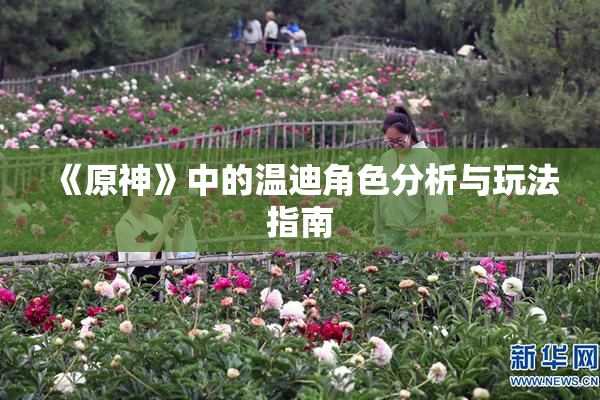 《原神》中的温迪角色分析与玩法指南