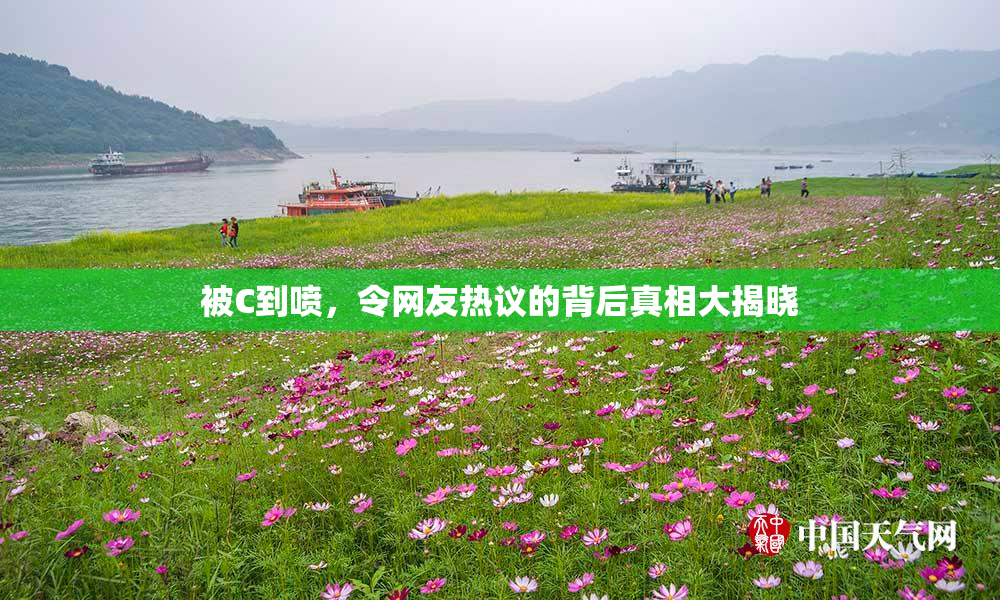 被C到喷，令网友热议的背后真相大揭晓