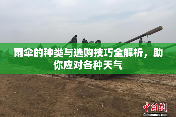 雨伞的种类与选购技巧全解析，助你应对各种天气