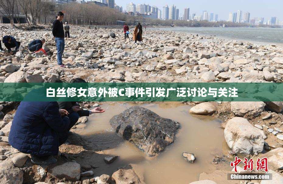 白丝修女意外被C事件引发广泛讨论与关注