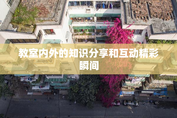 教室内外的知识分享和互动精彩瞬间