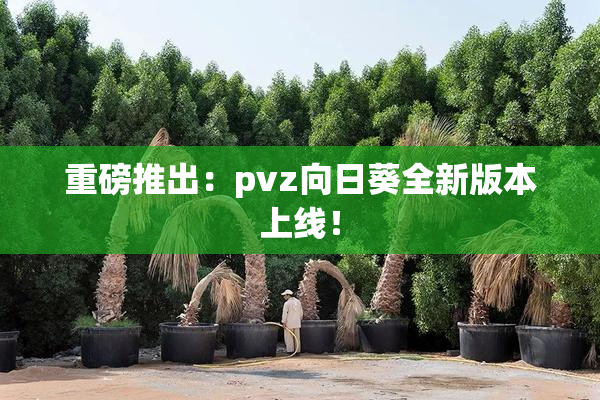 重磅推出：pvz向日葵全新版本上线！