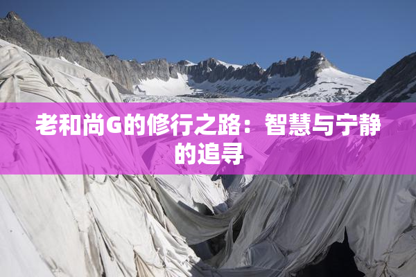 老和尚G的修行之路：智慧与宁静的追寻