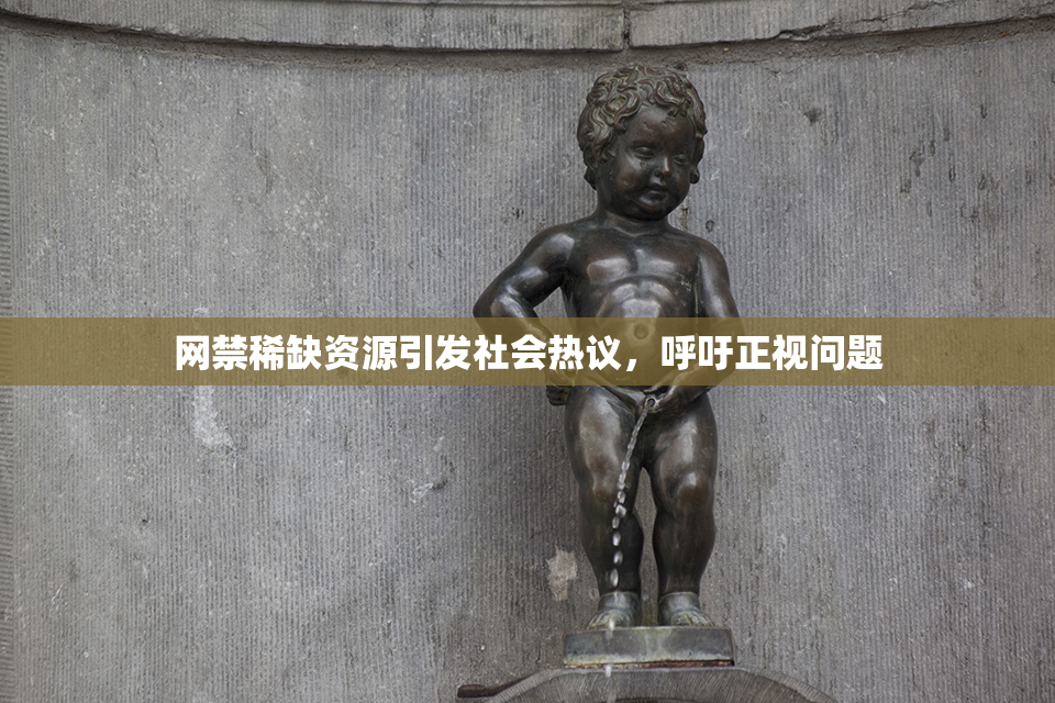 网禁稀缺资源引发社会热议，呼吁正视问题