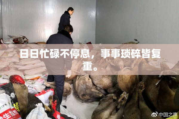 日日忙碌不停息，事事琐碎皆复重。