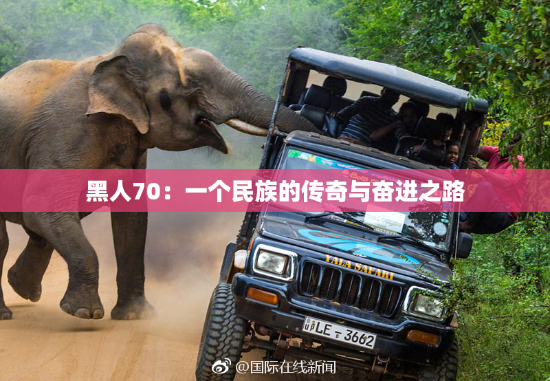 黑人70：一个民族的传奇与奋进之路