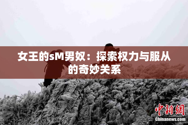 女王的sM男奴：探索权力与服从的奇妙关系