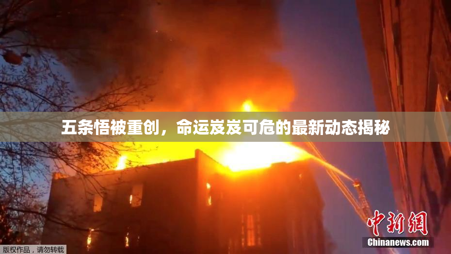 五条悟被重创，命运岌岌可危的最新动态揭秘