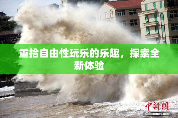 重拾自由性玩乐的乐趣，探索全新体验