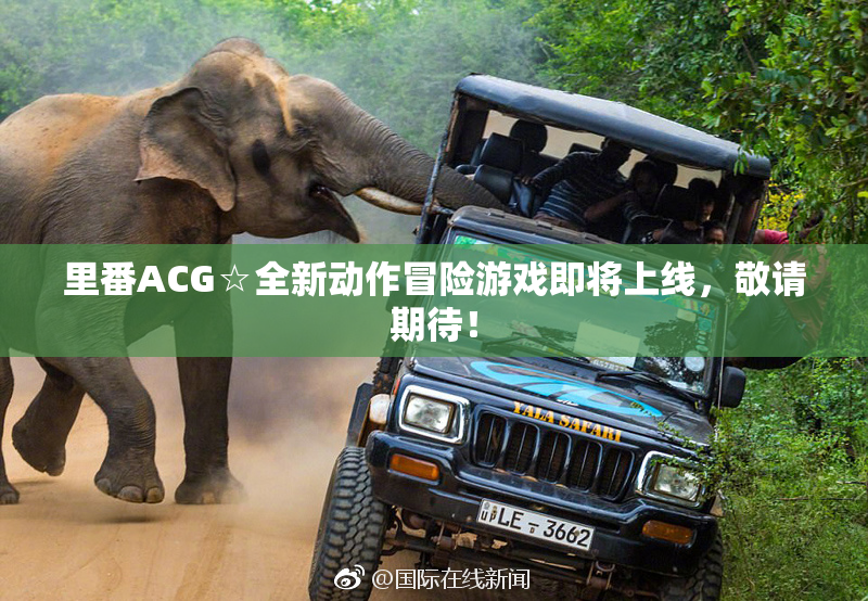 里番ACG☆全新动作冒险游戏即将上线，敬请期待！