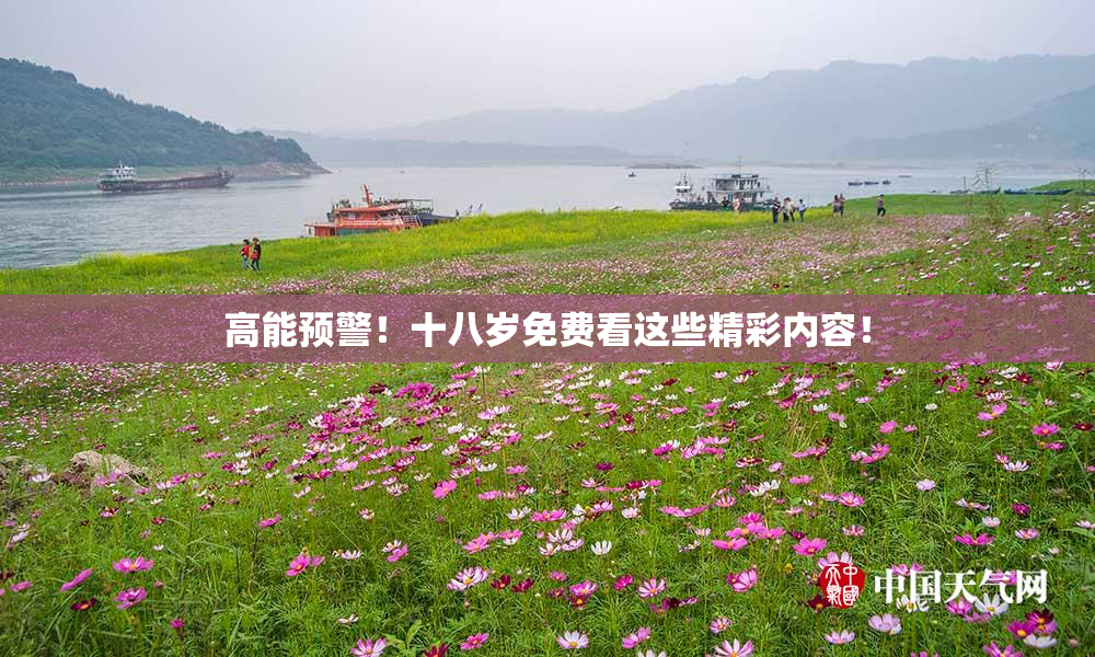 高能预警！十八岁免费看这些精彩内容！