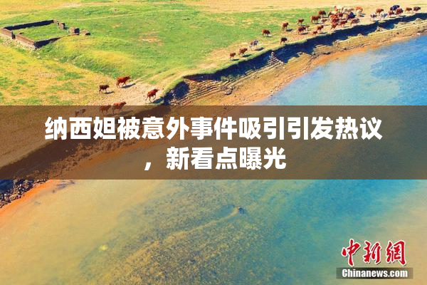 纳西妲被意外事件吸引引发热议，新看点曝光