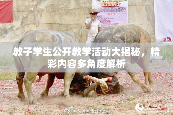 教子学生公开教学活动大揭秘，精彩内容多角度解析