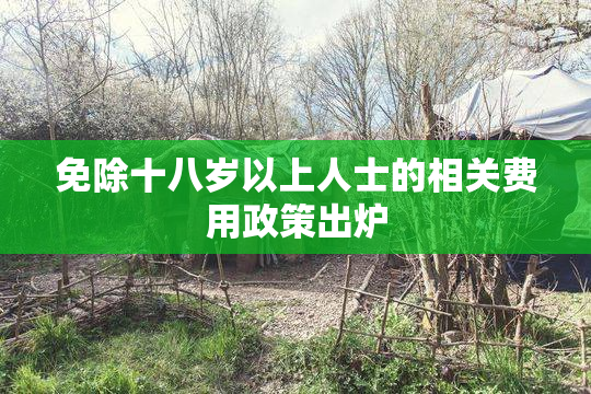 免除十八岁以上人士的相关费用政策出炉