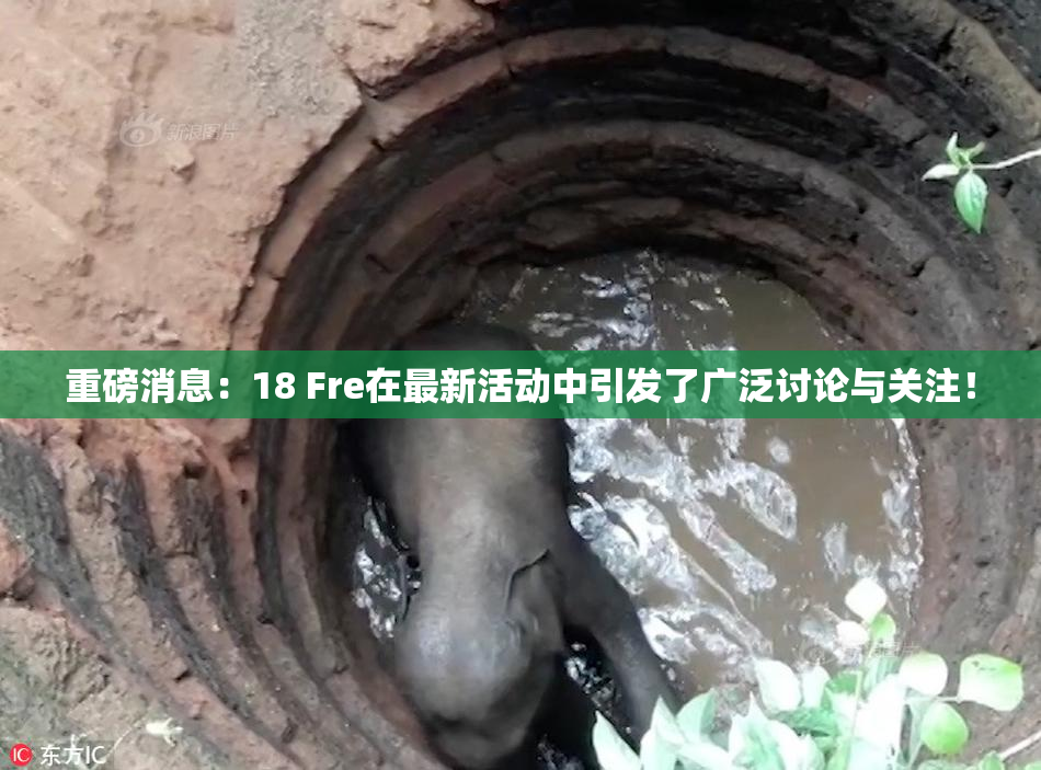 重磅消息：18 Fre在最新活动中引发了广泛讨论与关注！