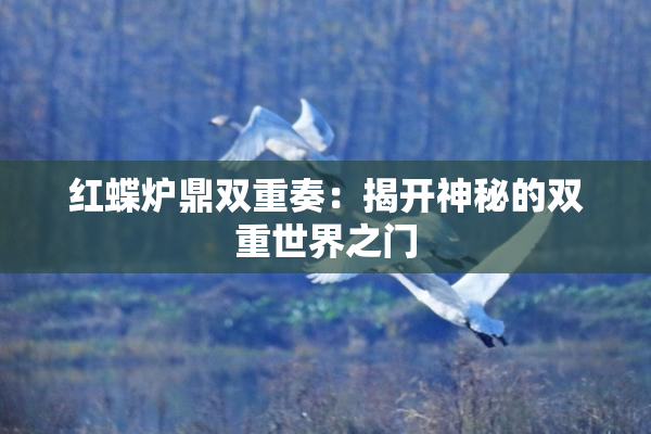 红蝶炉鼎双重奏：揭开神秘的双重世界之门