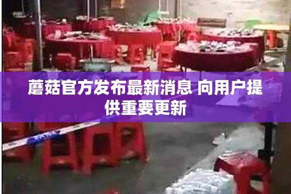 蘑菇官方发布最新消息 向用户提供重要更新