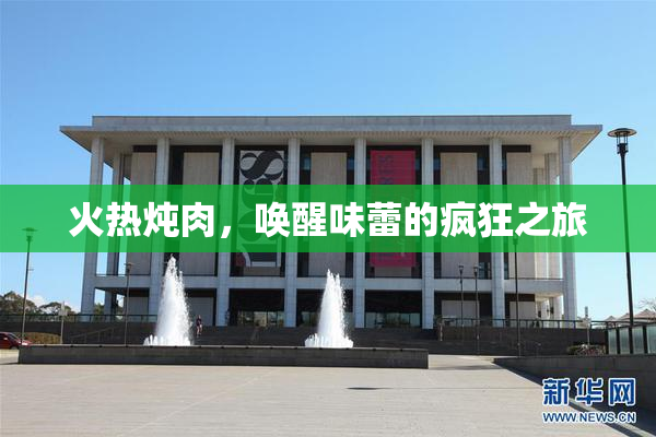 火热炖肉，唤醒味蕾的疯狂之旅