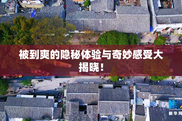 被到爽的隐秘体验与奇妙感受大揭晓！
