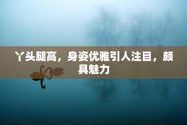 丫头腿高，身姿优雅引人注目，颇具魅力