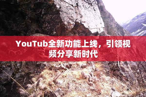 YouTub全新功能上线，引领视频分享新时代