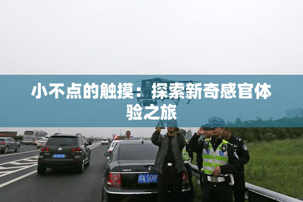 小不点的触摸：探索新奇感官体验之旅