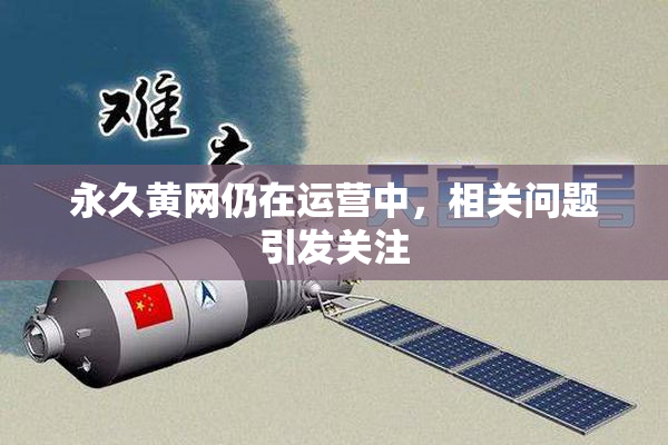 永久黄网仍在运营中，相关问题引发关注