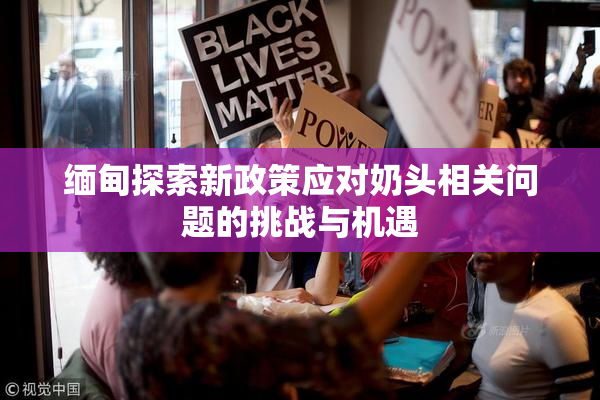 缅甸探索新政策应对奶头相关问题的挑战与机遇