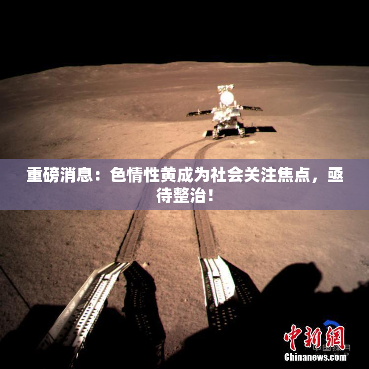重磅消息：色情性黄成为社会关注焦点，亟待整治！