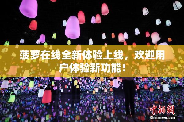 菠萝在线全新体验上线，欢迎用户体验新功能！