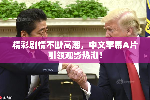 精彩剧情不断高潮，中文字幕A片引领观影热潮！