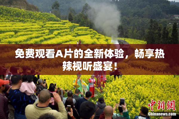 免费观看A片的全新体验，畅享热辣视听盛宴！