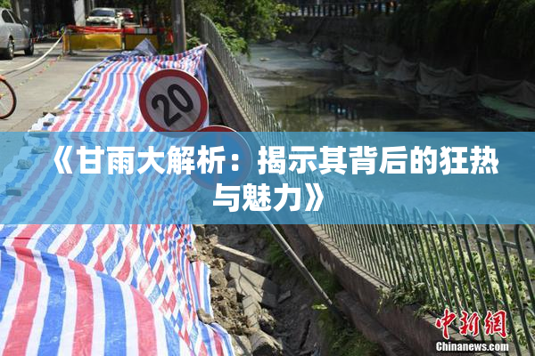 《甘雨大解析：揭示其背后的狂热与魅力》