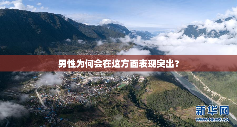男性为何会在这方面表现突出？