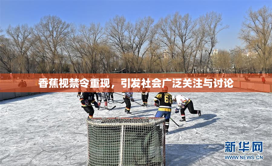 香蕉视禁令重现，引发社会广泛关注与讨论