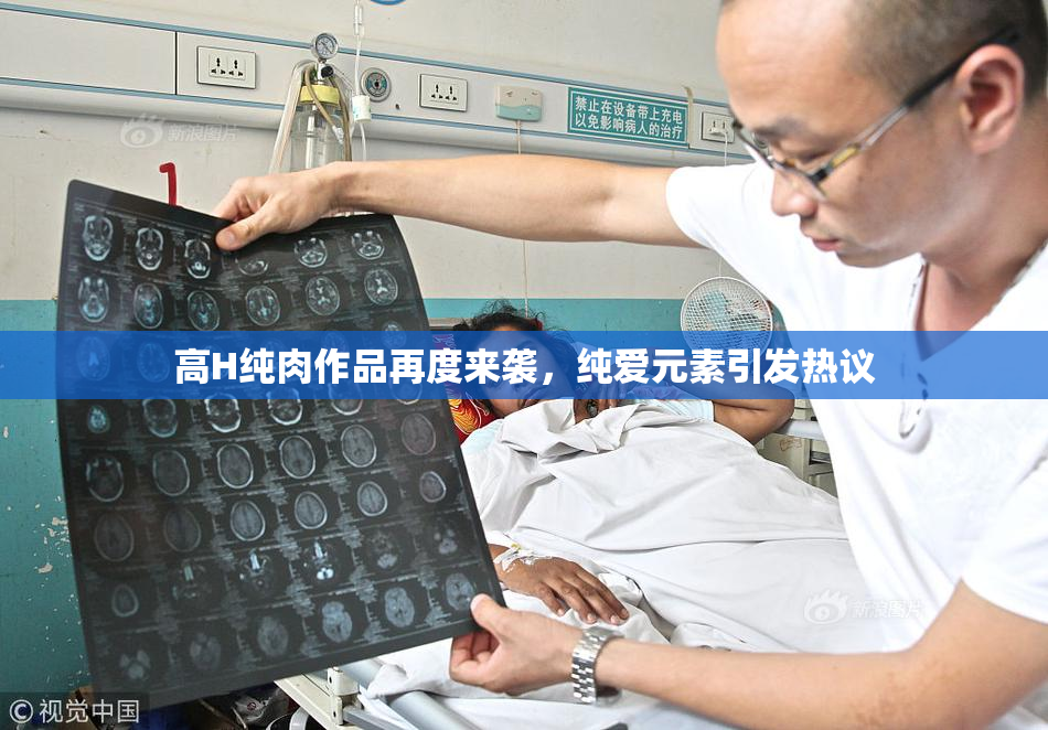 高H纯肉作品再度来袭，纯爱元素引发热议