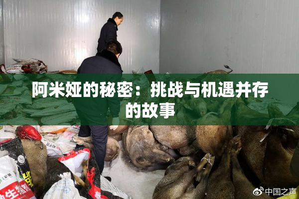 阿米娅的秘密：挑战与机遇并存的故事