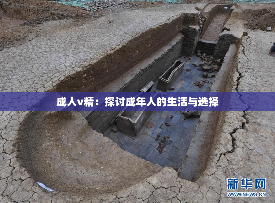 成人v精：探讨成年人的生活与选择