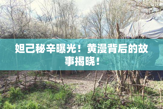 妲己秘辛曝光！黄漫背后的故事揭晓！
