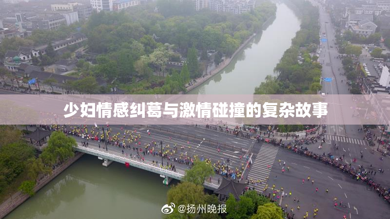 少妇情感纠葛与激情碰撞的复杂故事