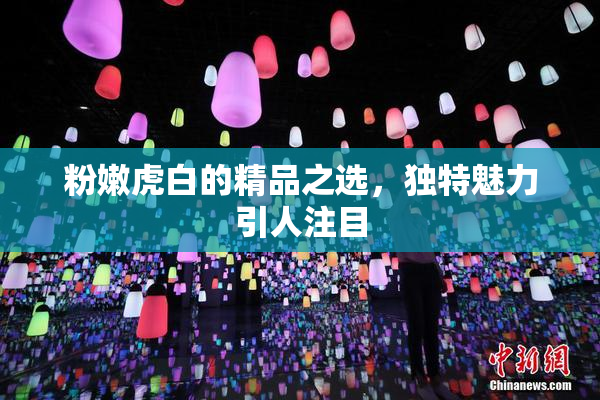 粉嫩虎白的精品之选，独特魅力引人注目