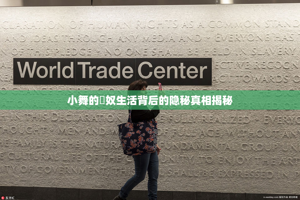 小舞的婬奴生活背后的隐秘真相揭秘